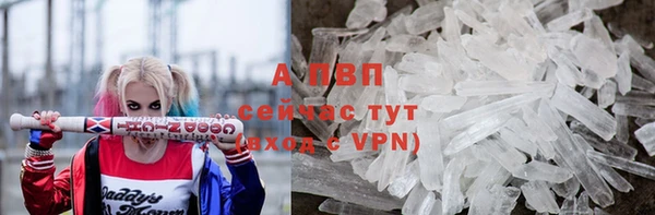 spice Абаза