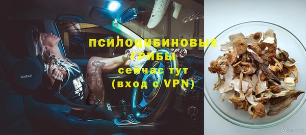 СК Абдулино