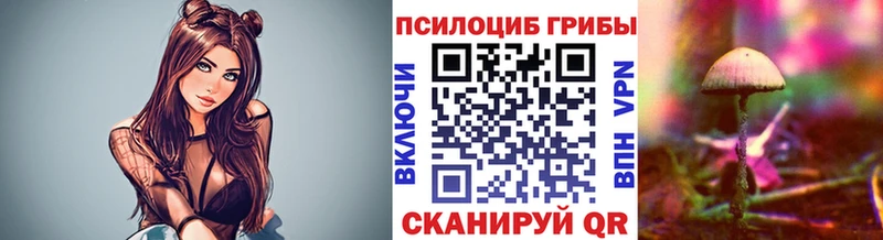 наркошоп  Слюдянка  Псилоцибиновые грибы Cubensis 